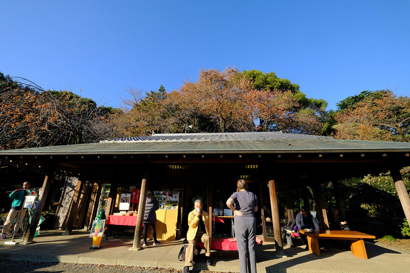 【東京】新宿御苑：櫻花＆楓葉大爆炸，門票美食交通＆附近景點一