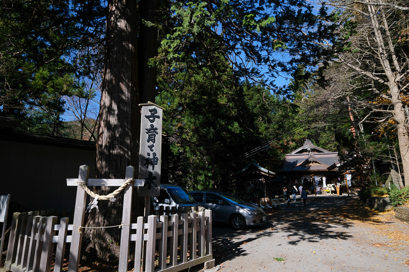 【河口湖】新倉富士淺間神社：絕美富士山景色！忠靈塔、鳥居櫻花