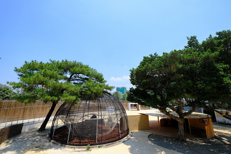 【新竹市立動物園】超美文青風動物園！門票交通美食＆附近景點一