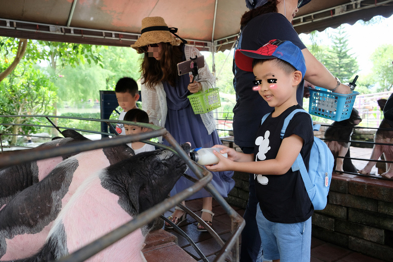 【宜蘭】宜農牧場：門票漲到150元！餵小動物、擠羊奶，親子一