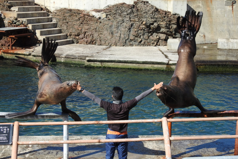 小樽水族館5.jpg