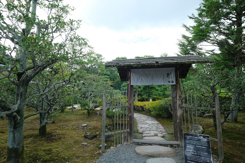 【京都】元離宮二條城：世界遺產！著名大政奉還場地，櫻花楓葉也