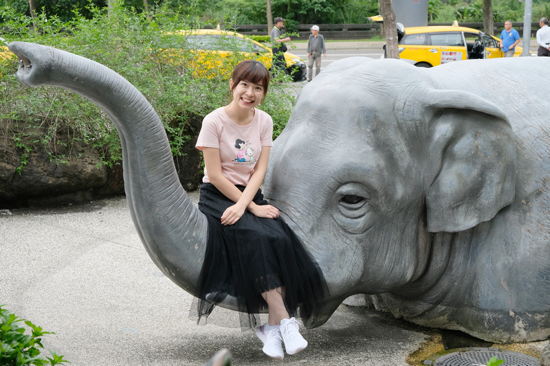 【台北市立動物園】木柵動物園：超萌企鵝熊貓無尾熊！門票停車＆