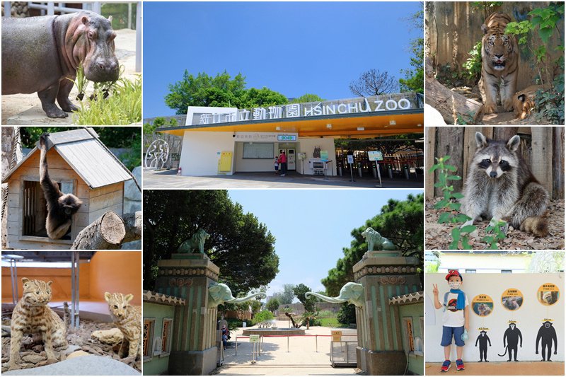 【新竹市立動物園】2025新竹動物園這樣玩！門票交通美食＆附近景點一日遊