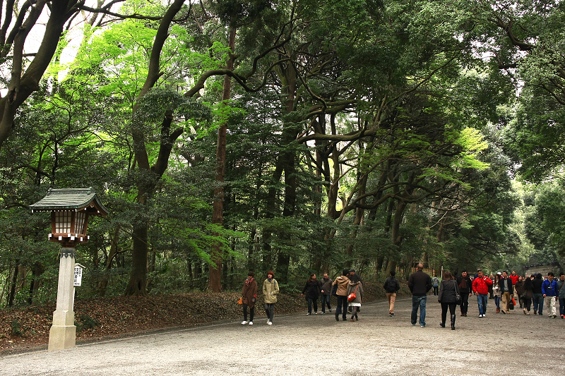 【東京】明治神宮：鳥居御守景點地圖、交通美食＆附近景點一日遊