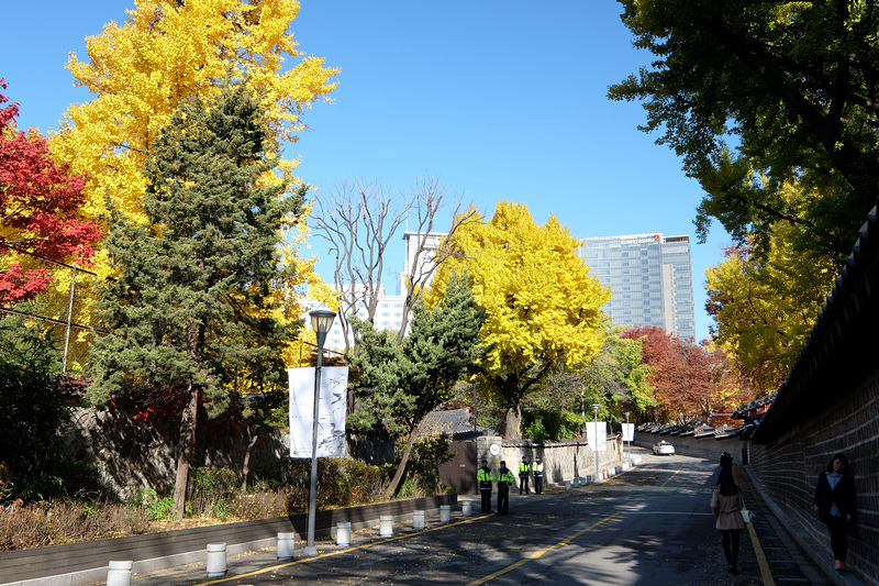 【首爾】德壽宮石牆路：韓國公認最美小路賞楓必去！門票＆免費韓