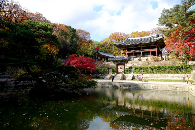 【韓國首爾】昌德宮秘苑預約＆門票韓服，紅葉漫天皇族後花園爆炸