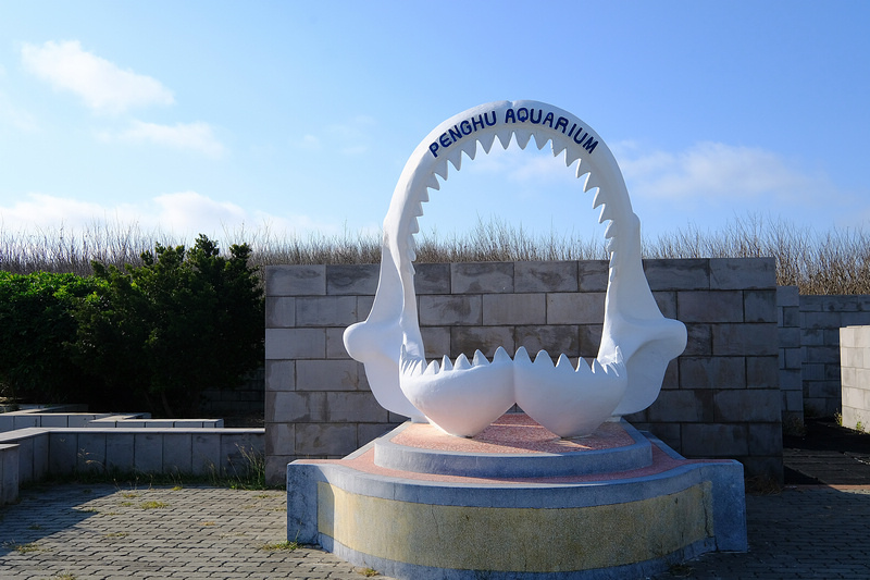 【澎湖】澎湖水族館：餵食秀超精彩！門票優惠＆海星觸摸池親子必