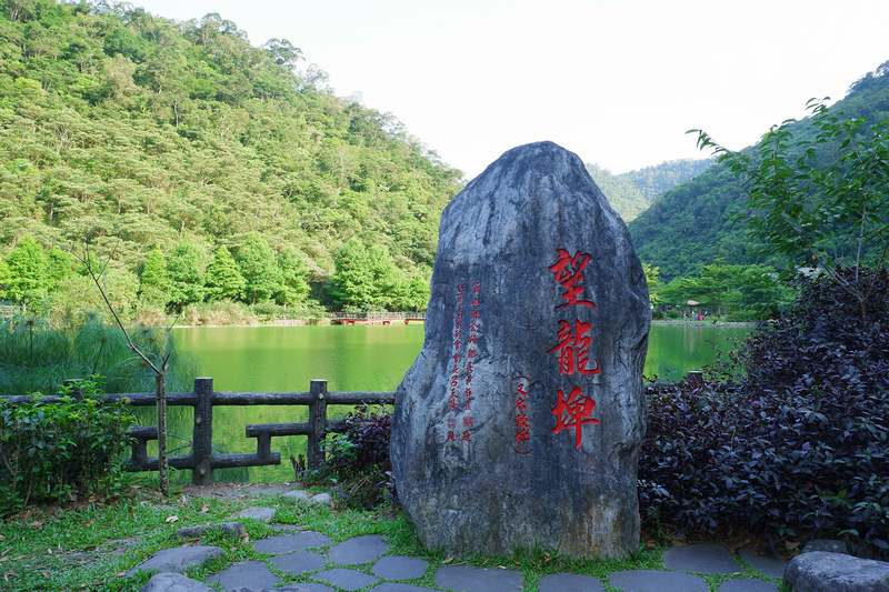 【宜蘭員山】望龍埤花田村：經典偶像劇場景！美食門票＆附近景點