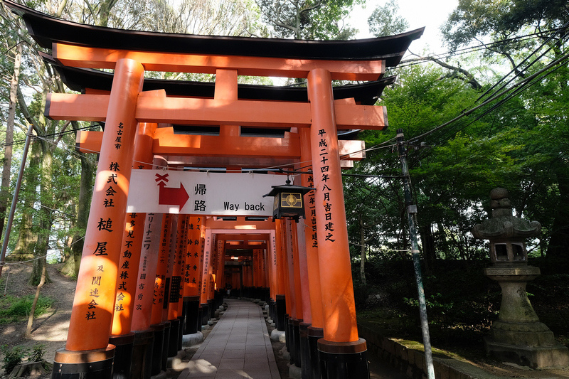 【京都】伏見稻荷大社：千本鳥居必看！狐狸御守、門票交通＆附近