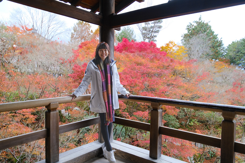 【京都賞楓景點】東福寺：楓葉之王美譽！通天橋紅葉火海般超吸睛