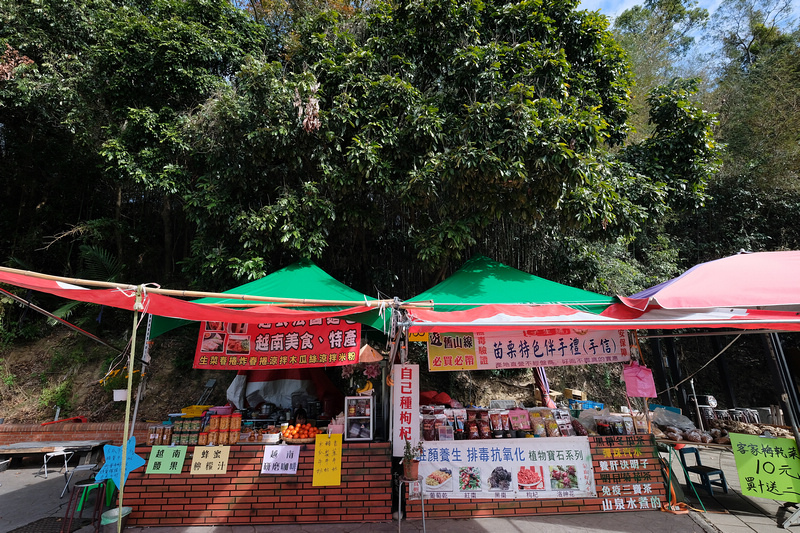 【苗栗】龍騰斷橋：小火車必玩！舊山線鐵道腳踏車路線，歷史美食