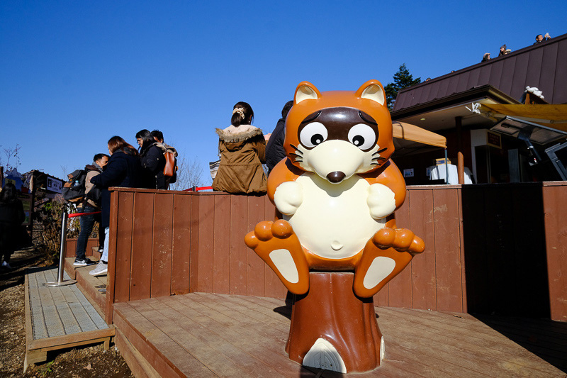 【天上山公園】必搭河口湖纜車！制高點眺望富士山全景＆超酷景觀