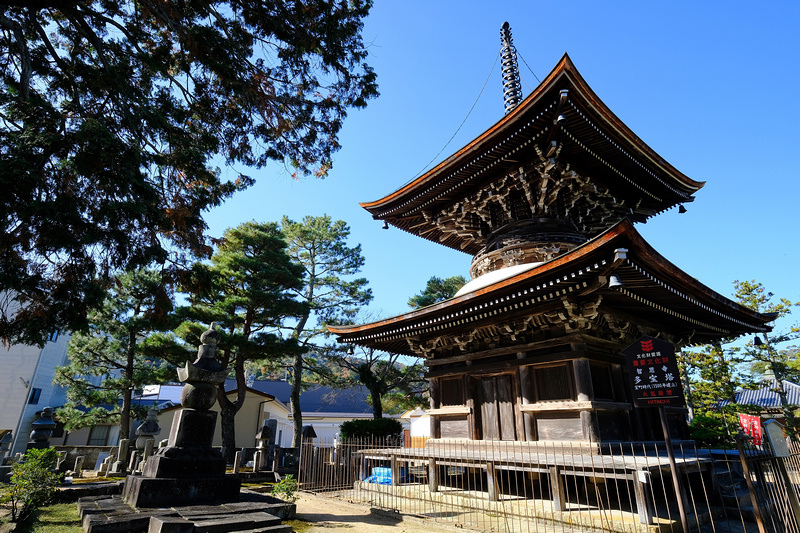 【天橋立一日遊行程】2024京都天橋立景點推薦！傘松公園、纜