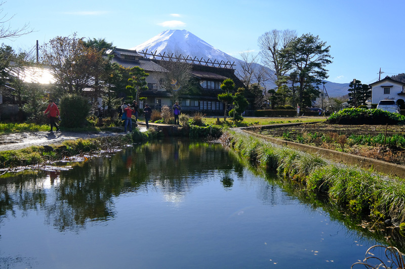 【河口湖】忍野八海：必去富士山湧泉群！日本名水百選交通美食彙