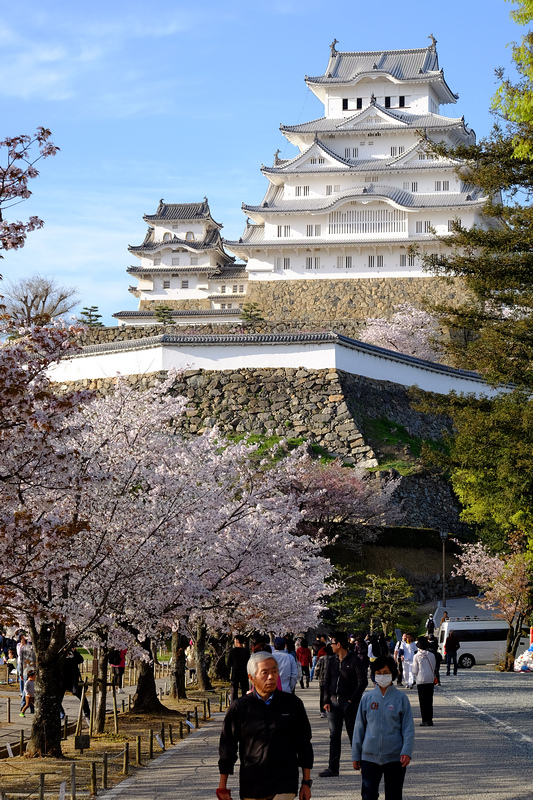 【姬路城攻略2024】日本第一名城！櫻花一日遊、天守閣重點＆