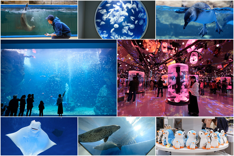 【桃園Xpark水族館】2024最新必看亮點、門票優惠、玩樂