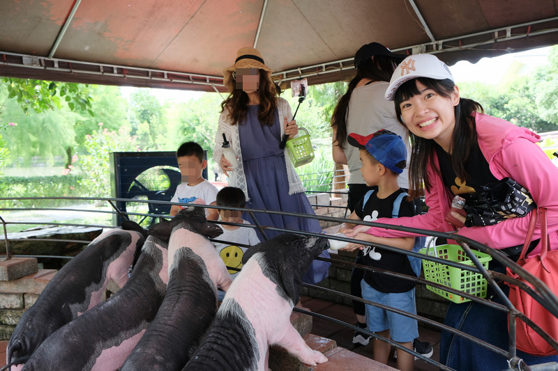 【宜蘭】宜農牧場：門票漲到150元！餵小動物、擠羊奶，親子一