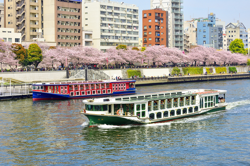 【東京】隅田川＆隅田公園櫻花：遊船夜景超浪漫＆花火大會也是必