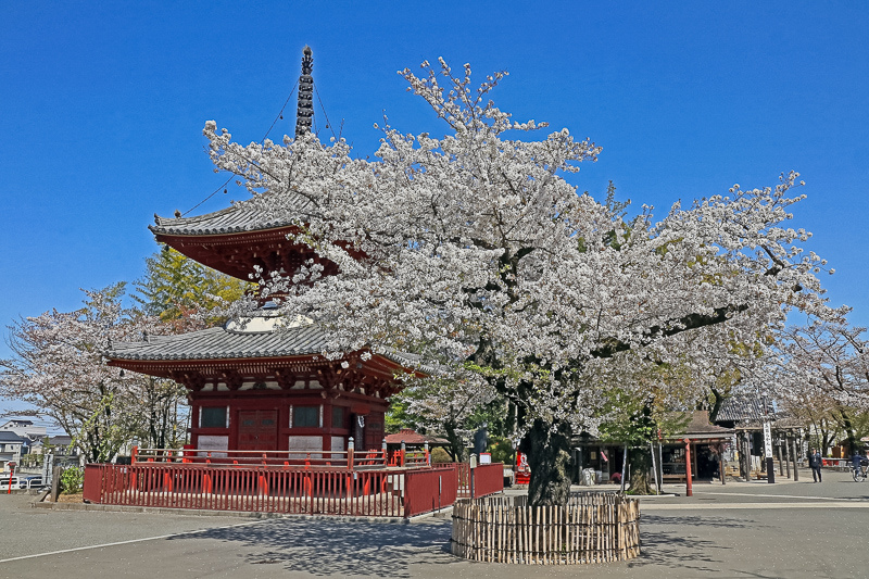 【川越一日遊】2023小江戶川越景點推薦，東京