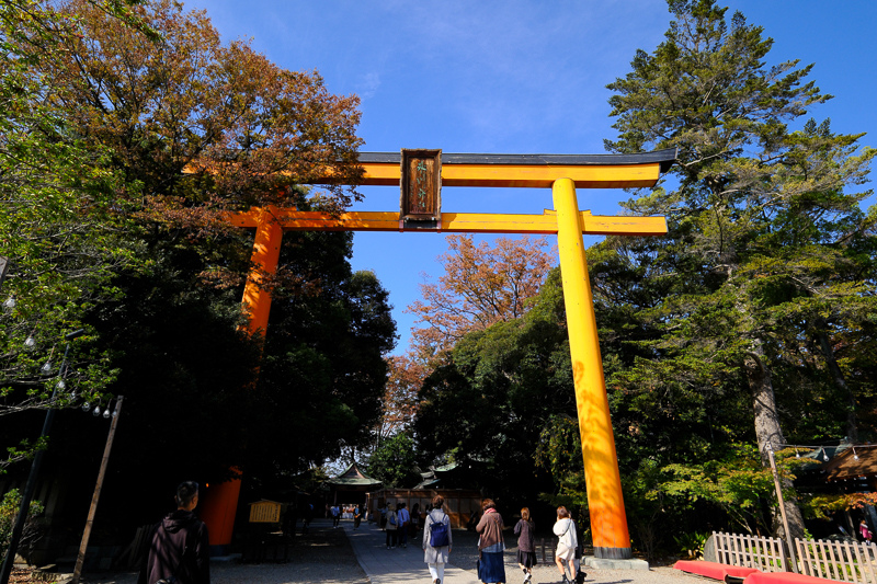 川越一日遊