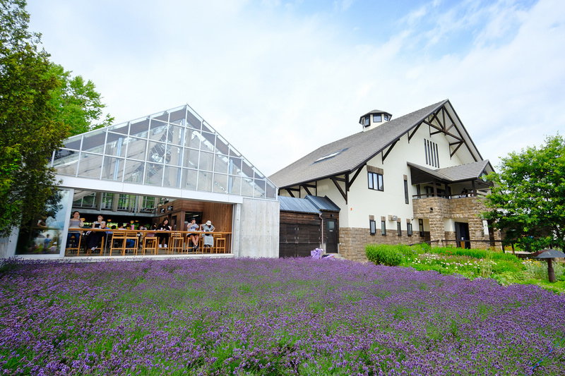 【北海道】富田農場：薰衣草花季美到爆炸！富良野花田最強景點狂