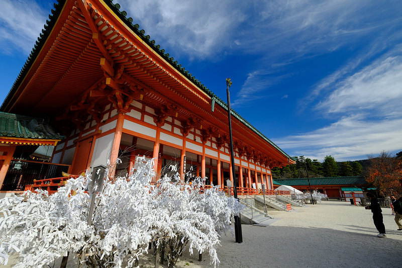 【京都】平安神宮：紀念建都千年而建！神苑櫻花夜櫻點燈＆楓葉必