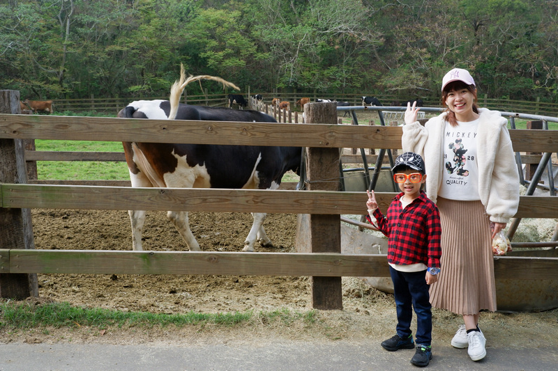 【苗栗通霄】飛牛牧場：擠奶餵羊趣！門票優惠、住宿餐廳親子一日