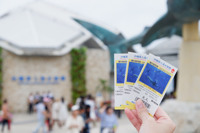 【沖繩】美麗海水族館最強攻略：必看表演、美食必買、門票交通大