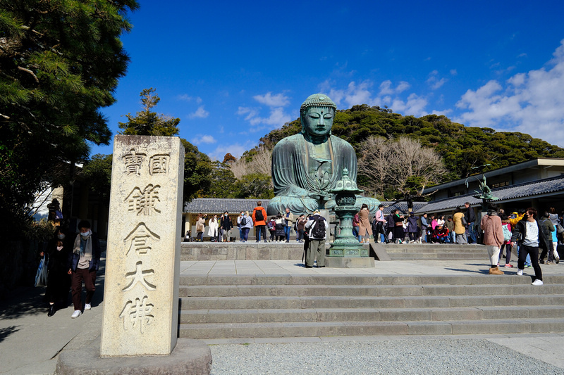 【鎌倉】鎌倉大佛殿高德院：日本第二高青銅佛像！在地神聖象徵景