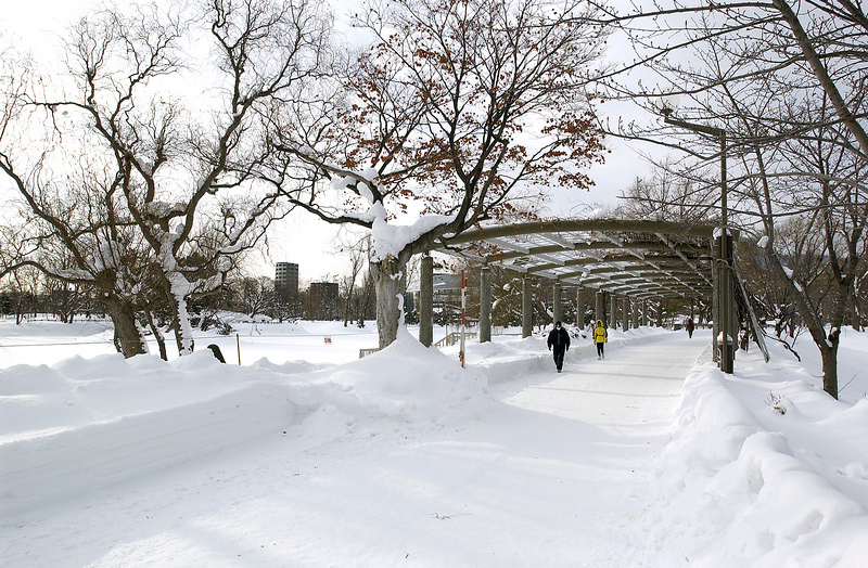 【札幌】中島公園：秋天楓葉、冬天滑雪都好玩！好評Vessel