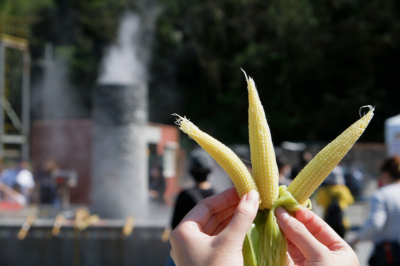 【宜蘭】清水地熱公園：超夯溫泉煮蛋＆湯屋泡湯！價目表、菜單食