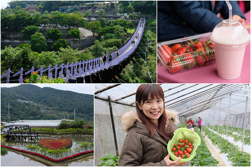 【台北內湖】白石湖吊橋＆草莓園：交通、餐廳美食，休閒農業區超好玩