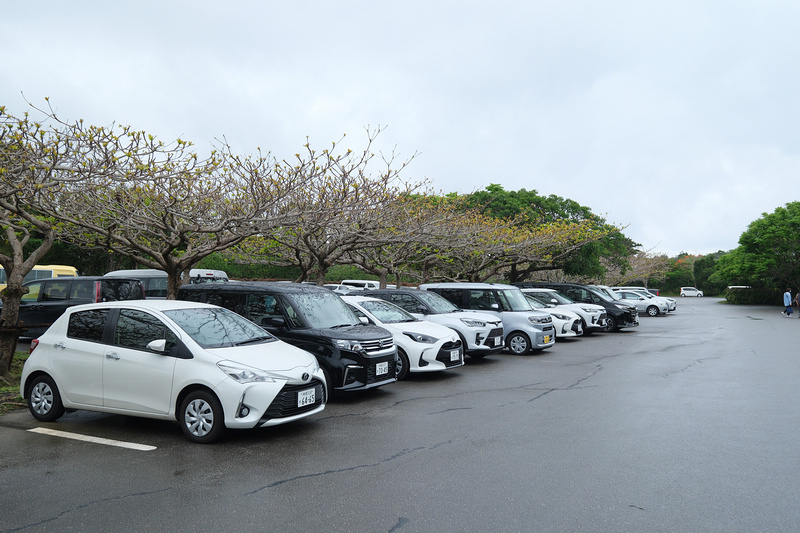 【沖繩】Bios之丘生態農場：遛山羊、湖中遊船、水牛車等親子