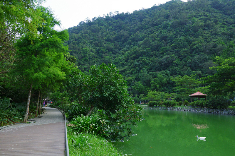 【宜蘭員山】望龍埤花田村：經典偶像劇場景！美食門票＆附近景點