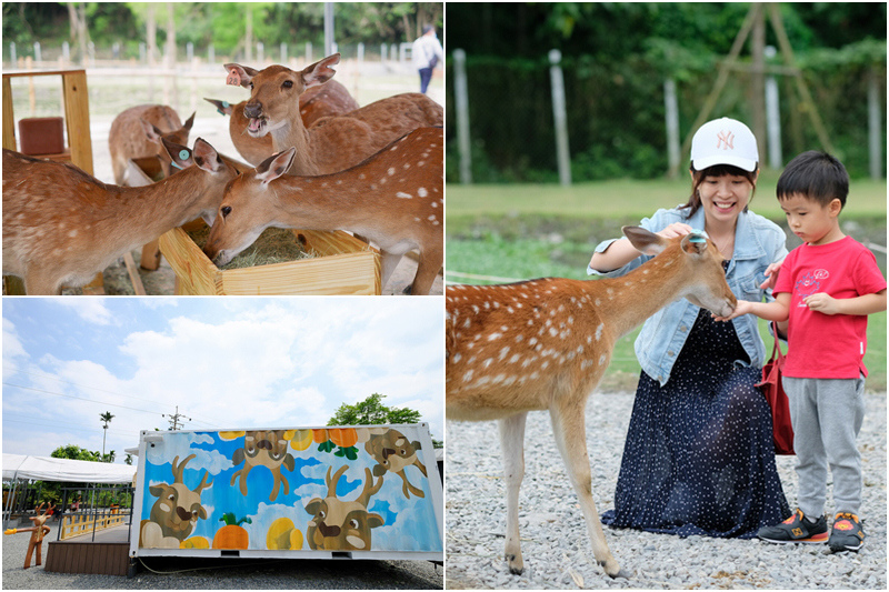 【宜蘭】斑比山丘：與梅花鹿親密接觸！餵小鹿預約門票免排隊＆水豚迷你驢